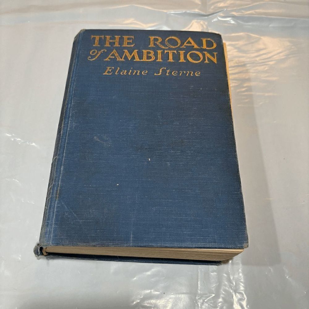 Vintage 1917 Elaine Sterne "The Road Of Ambition" 1st edition Ill Ray N. Jackson